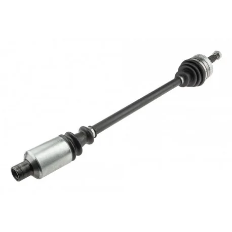 motone-35654605