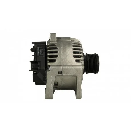 motone-35679819
