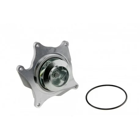 motone-35739582