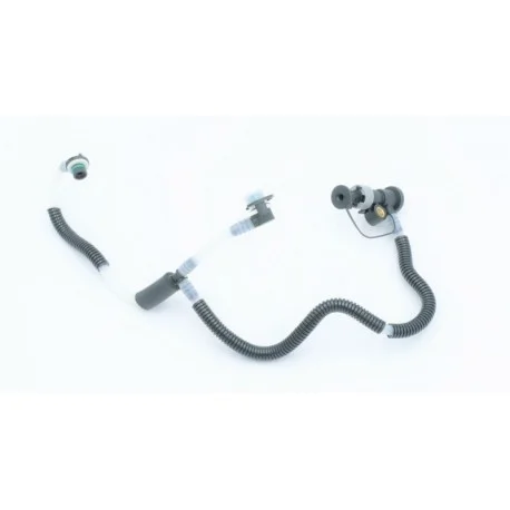 motone-35746865