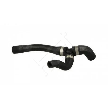 motone-35863157