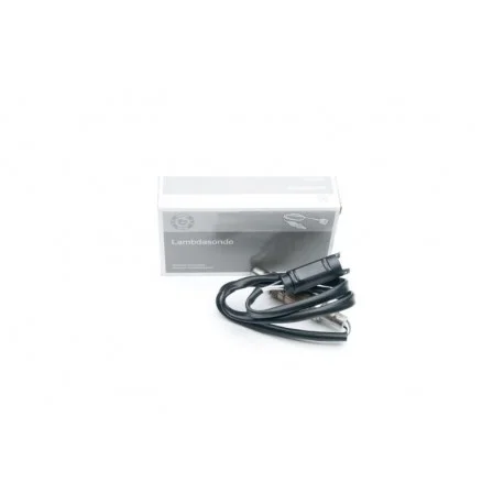 motone-35935109