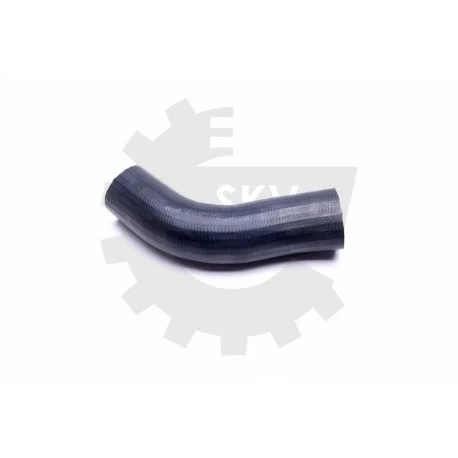 motone-36031779