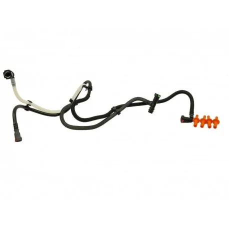 motone-36171552