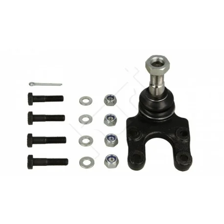 motone-36293661