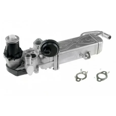 motone4967044