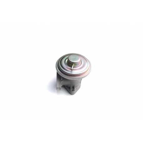 motone4968248