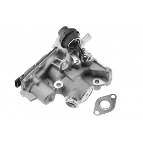 motone4968946