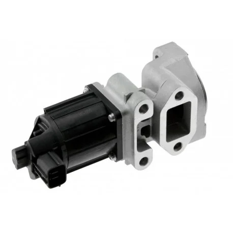 motone4969067