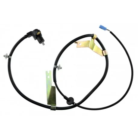 motone4994939