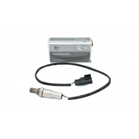 motone5534542