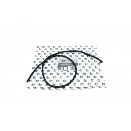 motone5562599