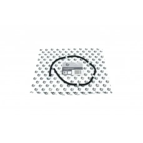 motone5563497