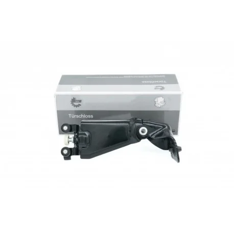 motone5564052