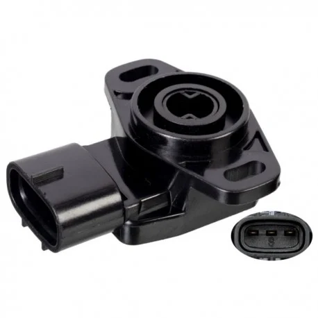 motone5773446