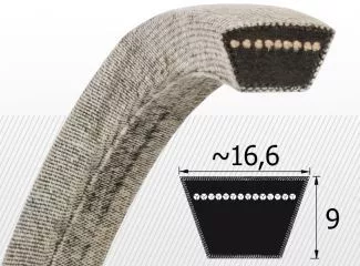 parkgep5484553